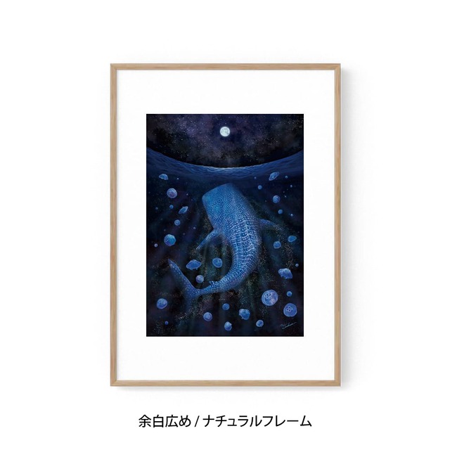 A1｜月海月鮫（げっかいげっこう）（フレームあり）