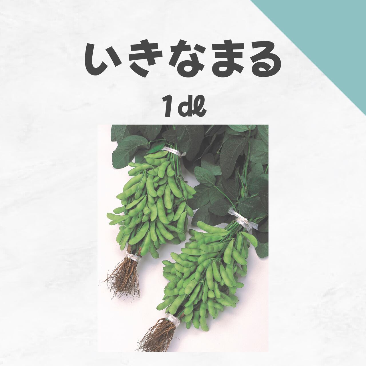 いきなまる エダマメ種子・1dl