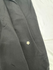 Black pants 495
