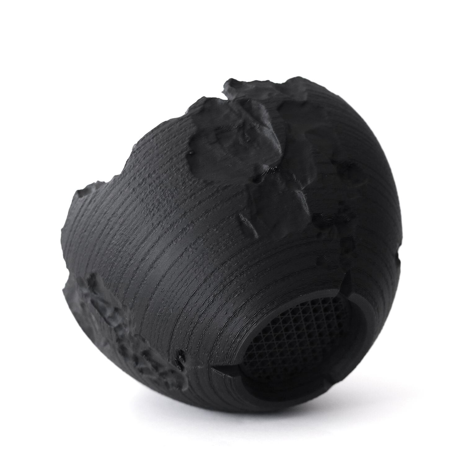 SAD 非常に希少な斑入り【コレクション株】【発根済】【作家鉢】【台湾】 Adv-055-M (120×75) Erosion cr｜自然侵食を模したクラッキング鉢｜3D