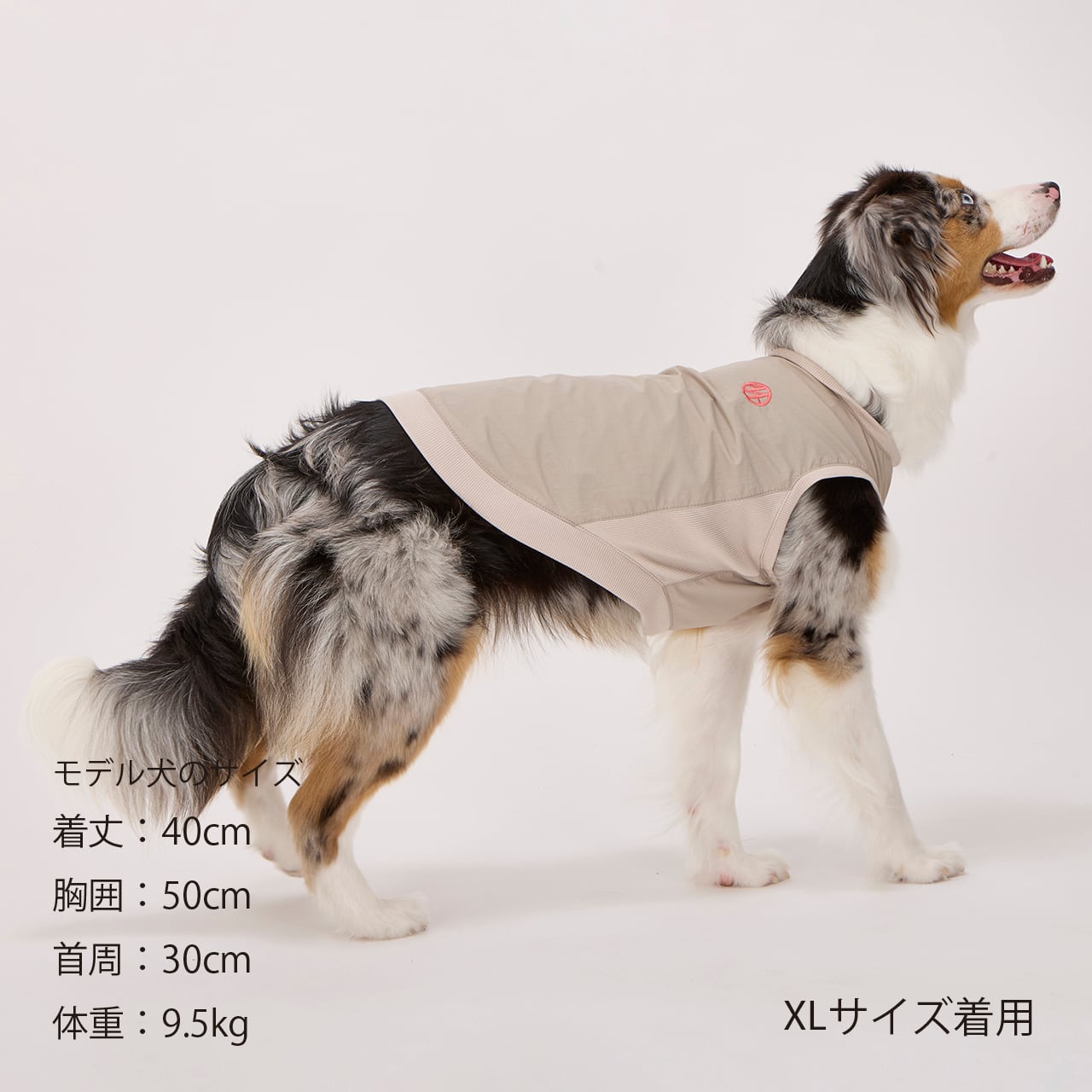 PISTE（XL.XXL） ピステ | MANDARINE BROTHERS マンダリン