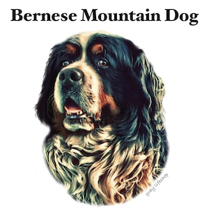 gray original Dog face &breed printed S/S TEE［Bernese Mountain］