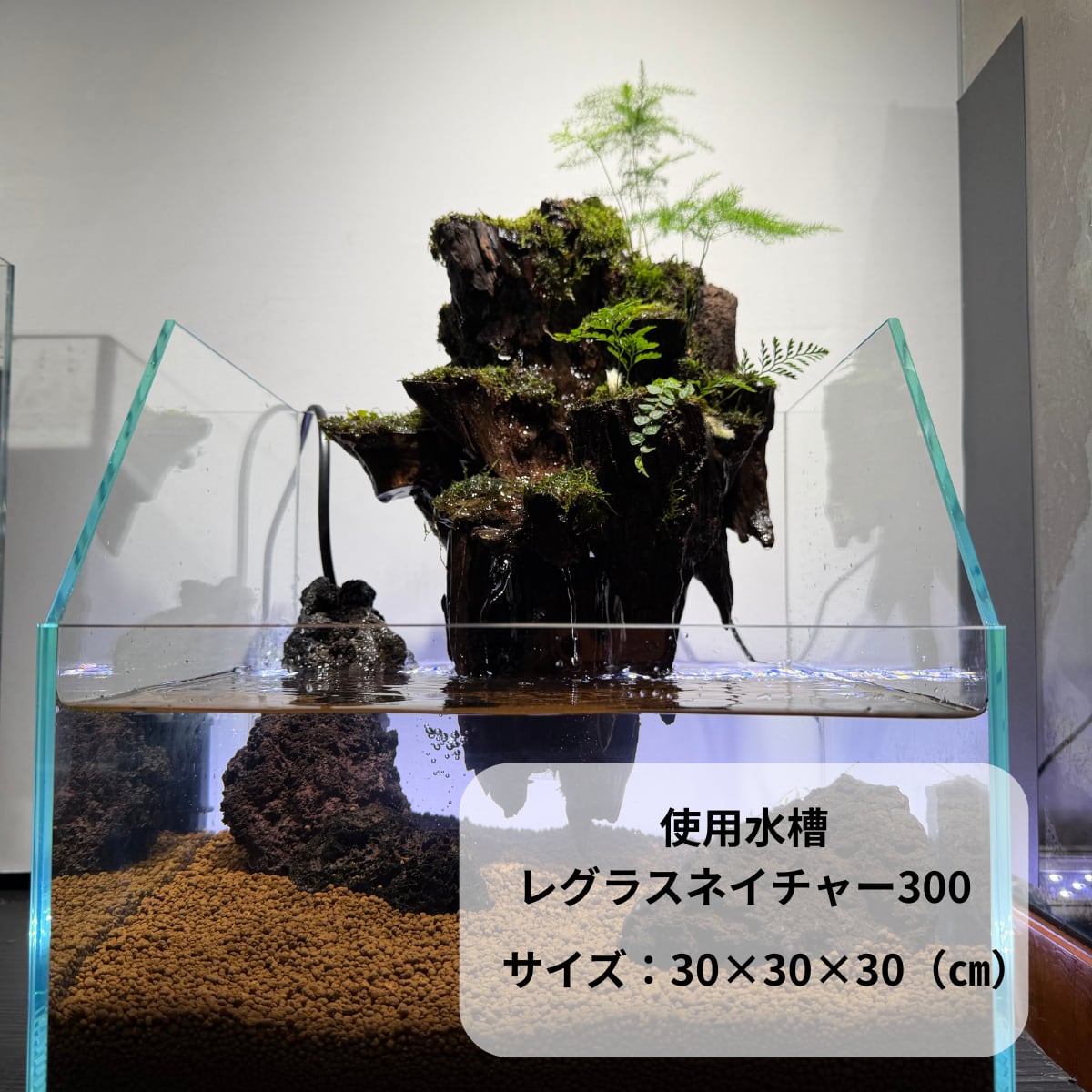 アクアテラリウム 浮根～fune～｜水槽に引っかけるだけで楽しめる