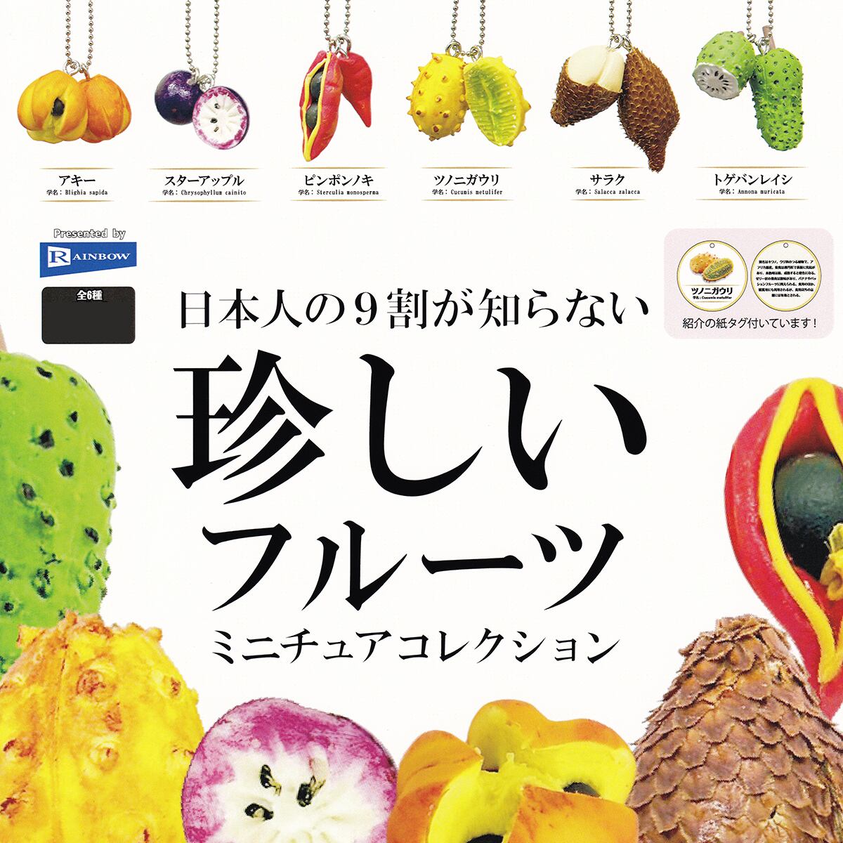 リーメント　フルーツいっぱい　全10種類 832a046e77a1c6491766cbdedde7b9