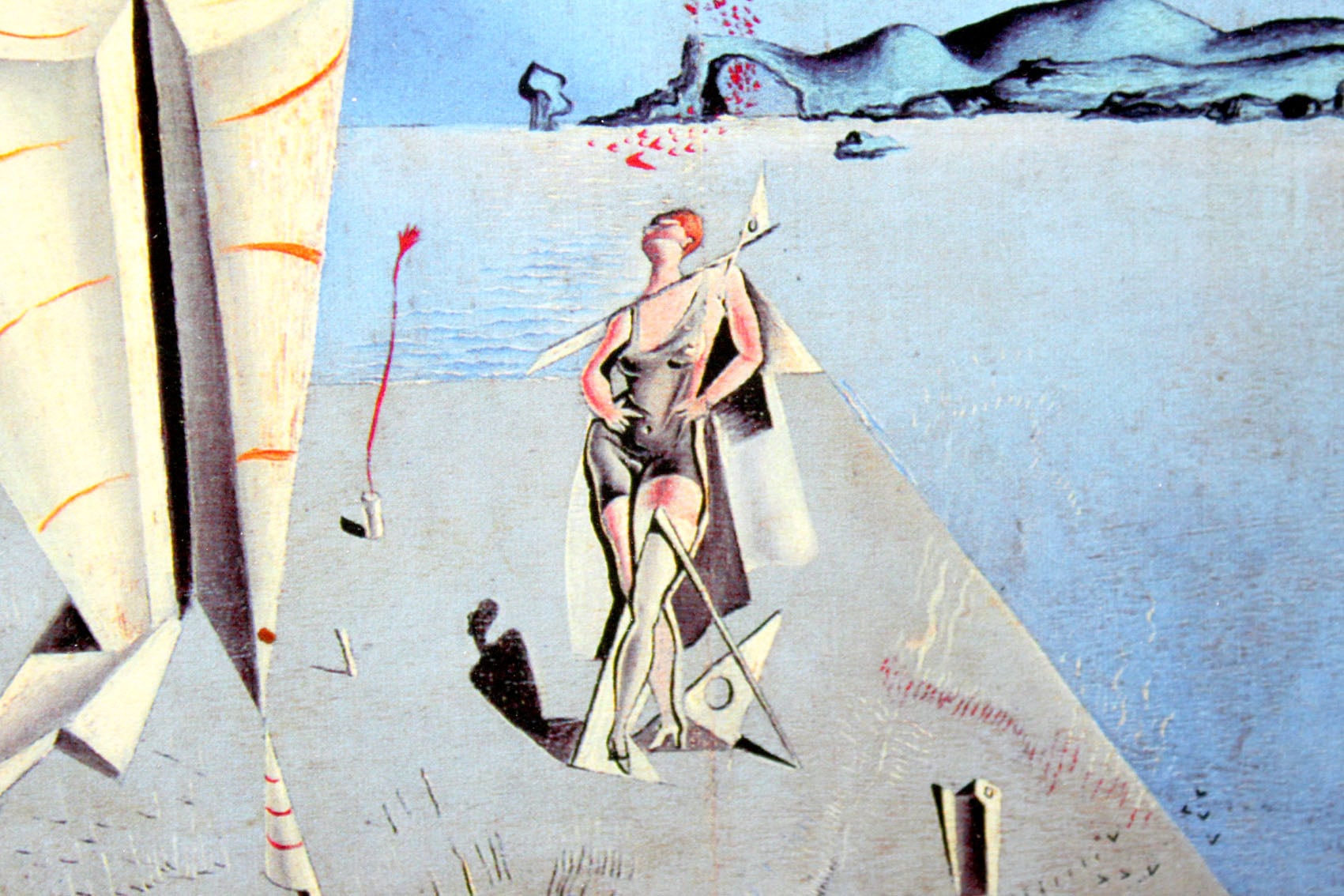 サルバドール ダリ「器官と手」額縁4色選択可能 作品証明書 展示用