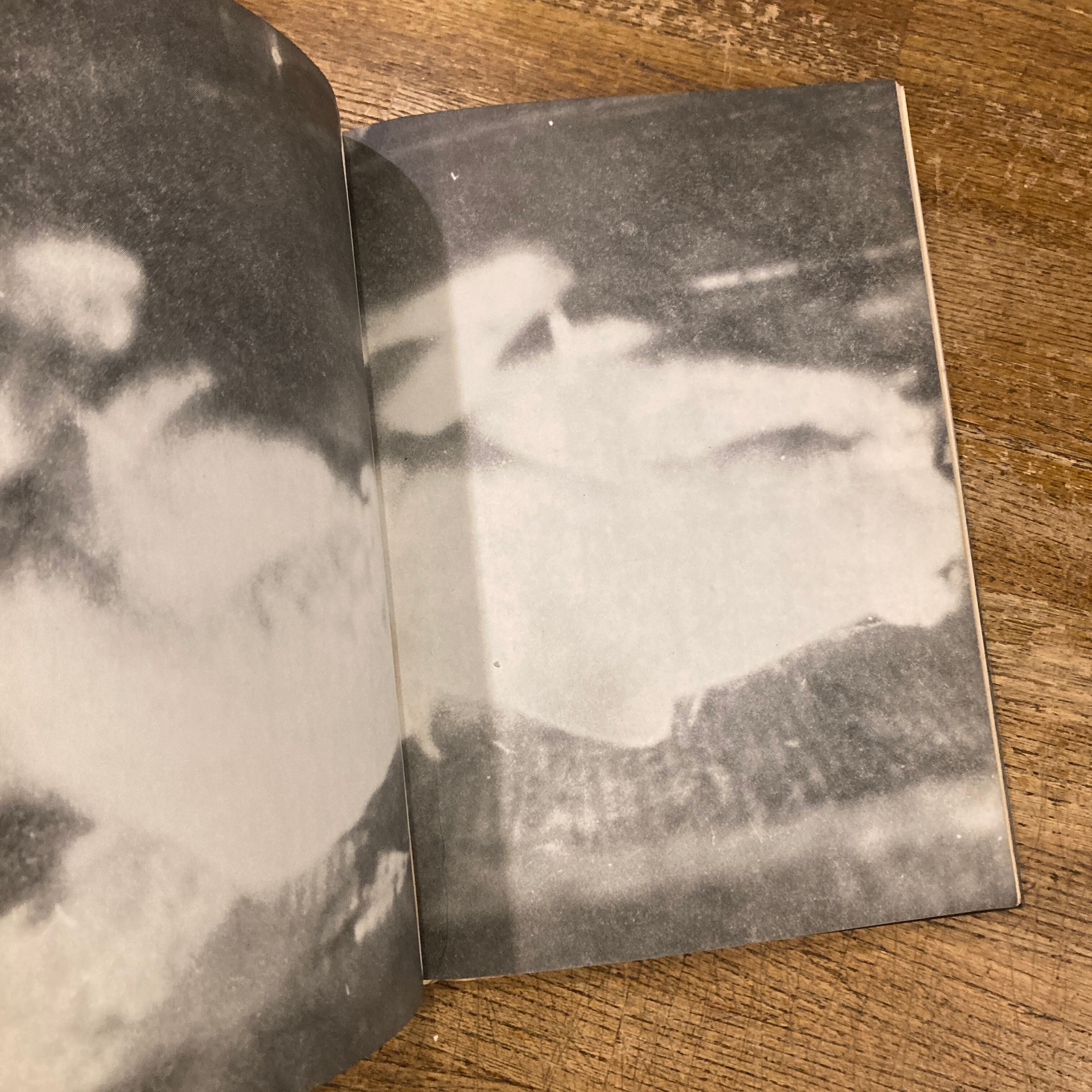 まずたしからしさの世界をすてろ　写真と言語の思想　田畑書店　多木浩二　中平卓馬 まずたしからしさの世界をすてろ 写真と言語の思想 / 天野道映、岡田