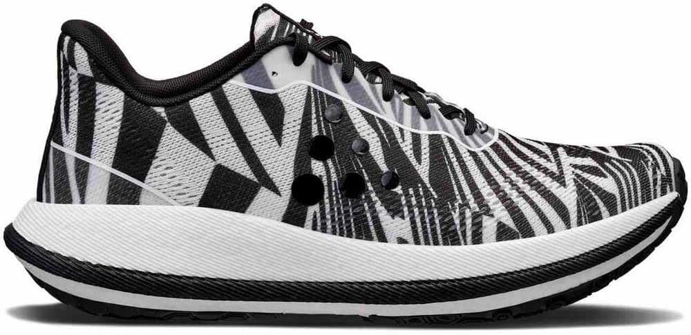 CRAFT (ｸﾗﾌﾄ) - XplorProNORDISK (ｴｸｽﾌﾟﾛｰﾗｰ ﾌﾟﾛ×ﾉﾙﾃﾞｨｽｸ) | thecompus