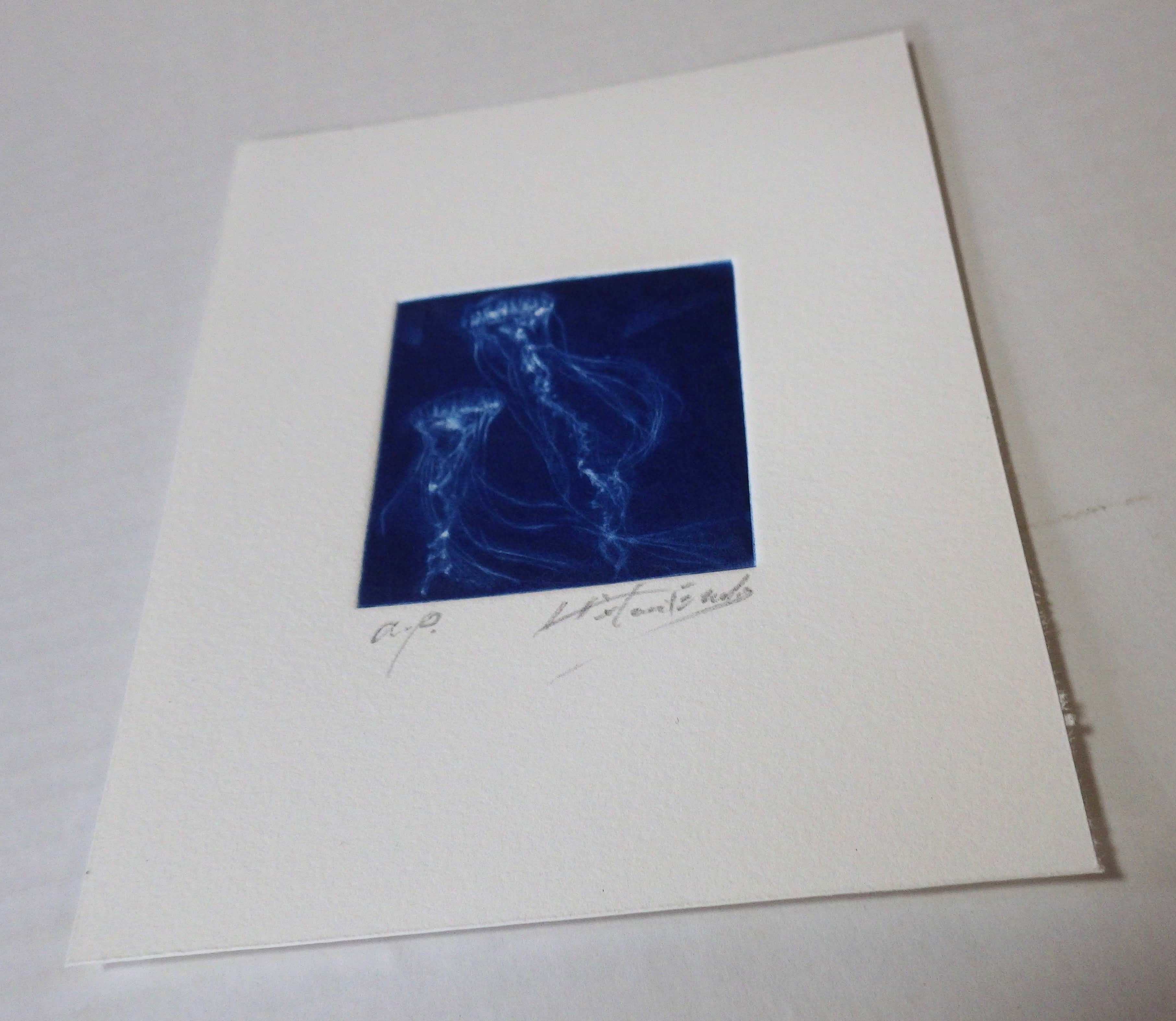 銅版画 海 『クラゲ』 | hitomi endo printing