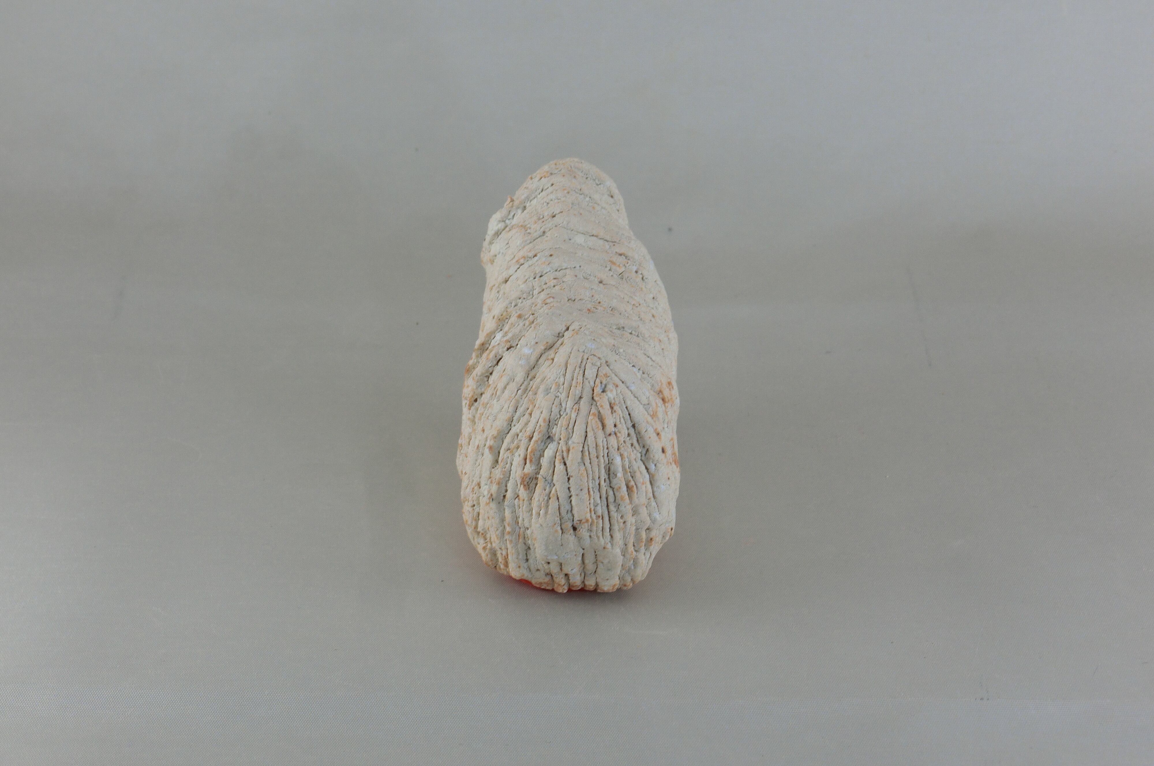 幸生窯　前川幸市作　犬　コモンドール