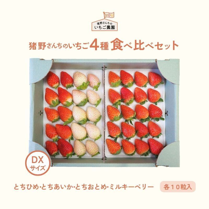 とちあいか（DXサイズ 6粒入り×2P） | 猪野さんちのいちご農園｜産直