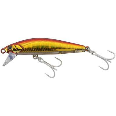 Sammys サミーズ 頂 ITADAKI -イタダキ- | Pay ID