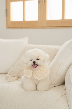 予約【pecoramou select】Cozy lace Cape