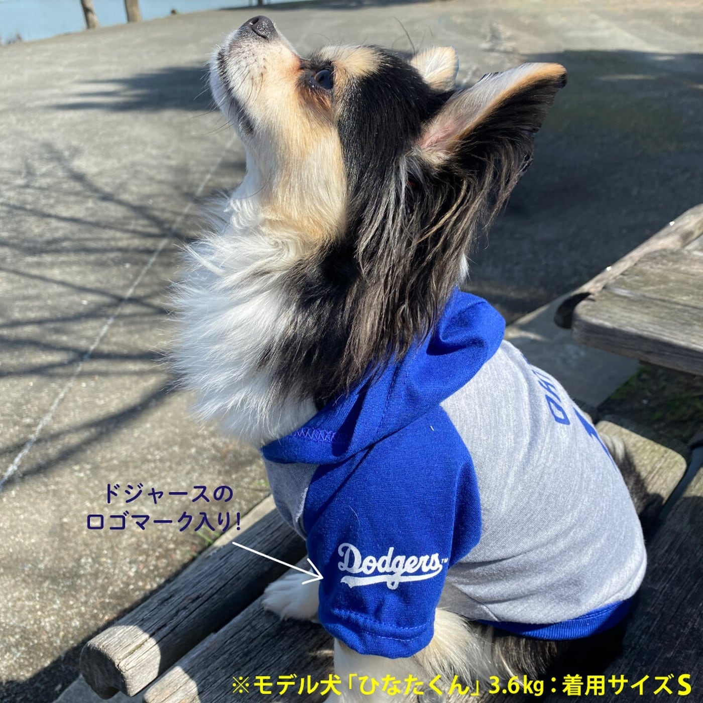 犬用パーカー Lサイズ 大谷翔平モデル MLB公式 ドジャース 超小型犬用