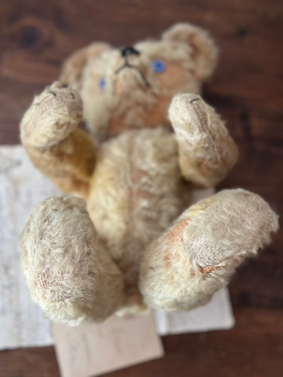 ブルーアイのベア 青い瞳 くまのぬいぐるみ | Brocante de La Cocotte