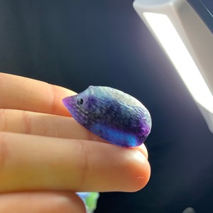 15ハリネズミフローライト