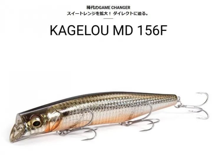 Sammys サミーズ 頂 ITADAKI -イタダキ- | Pay ID