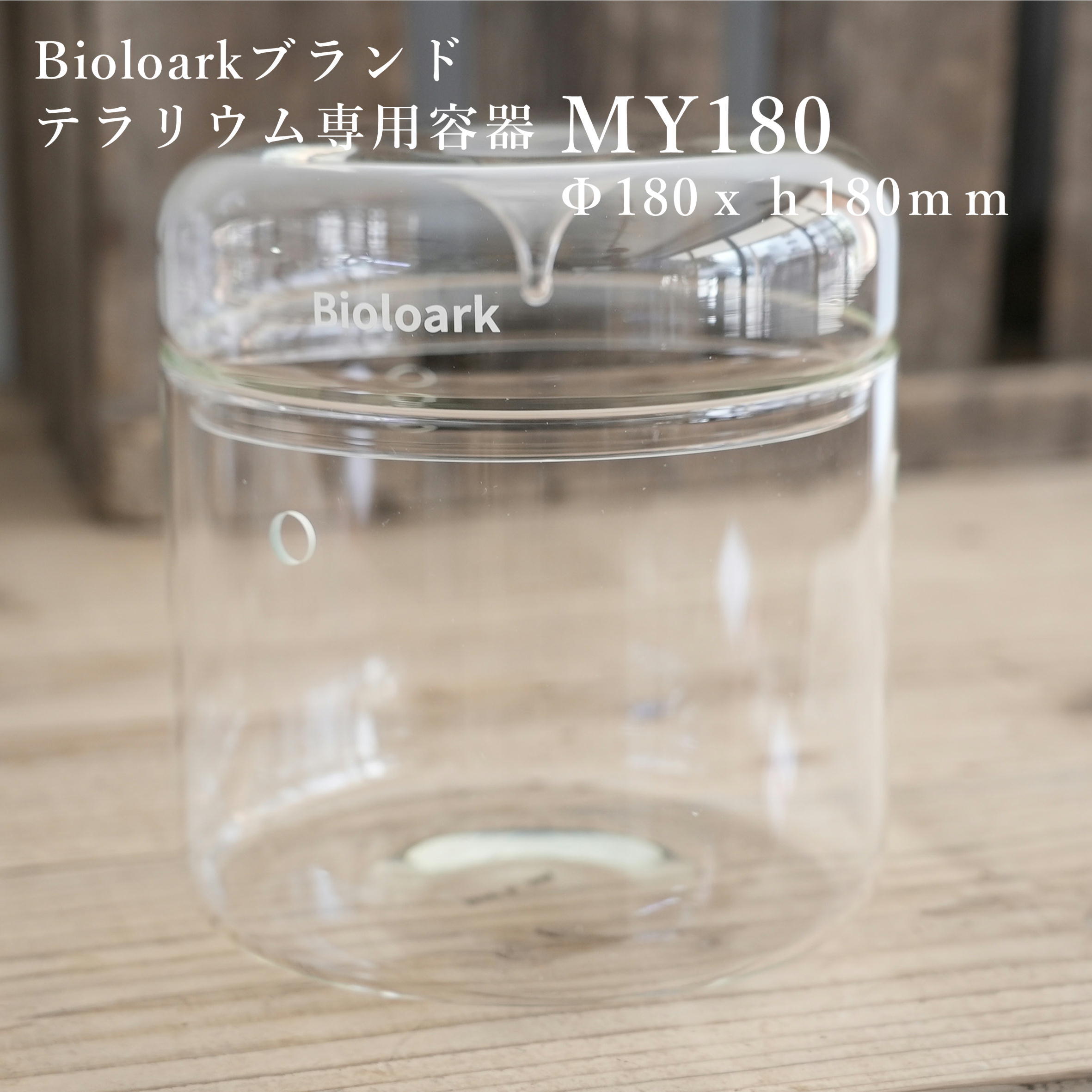 【ガラス容器】Bioloark MY180（Φ180ｘｈ180mm）◆テラリウムのために作られたガラス容器