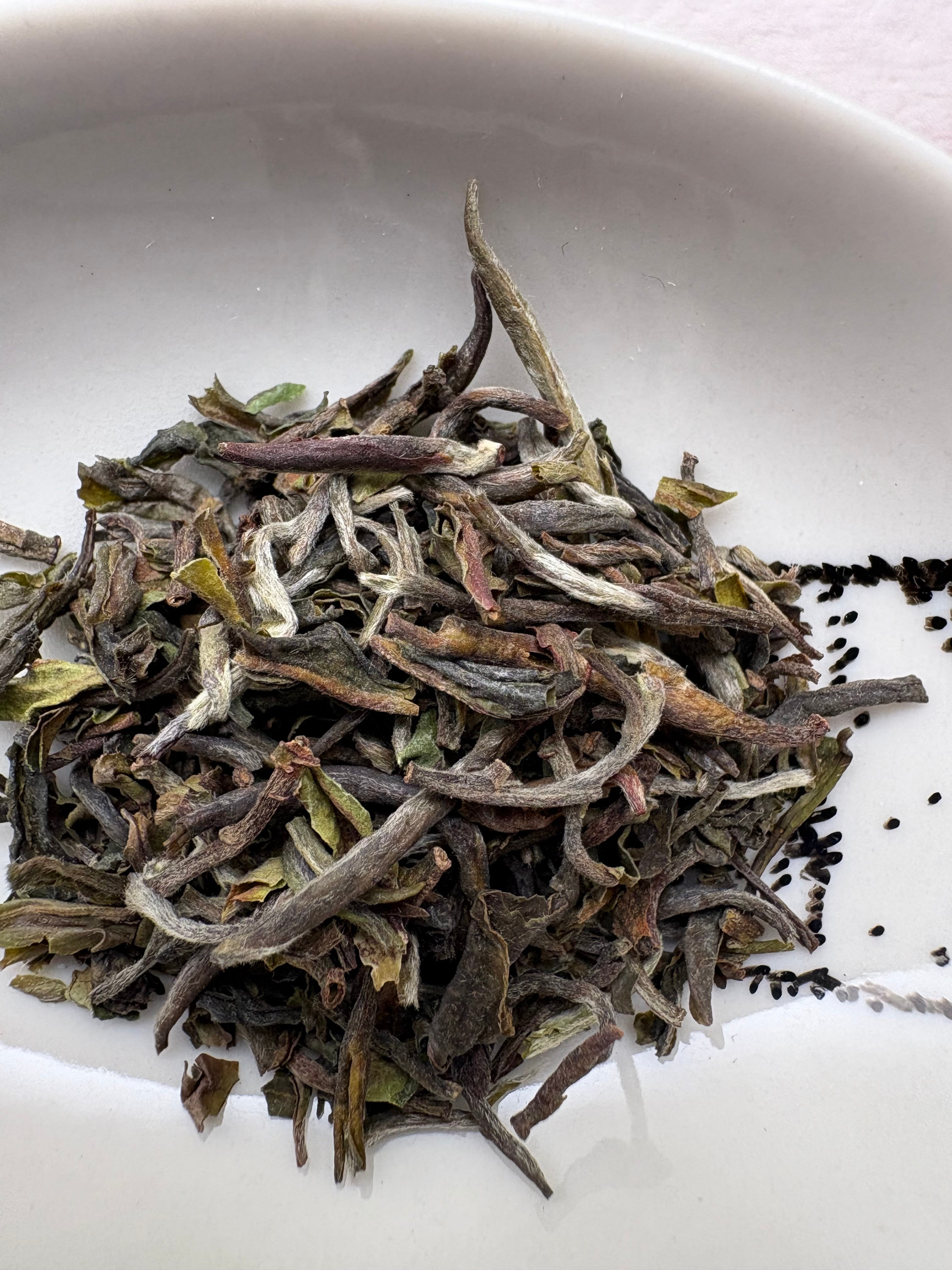 ダージリン 2025 FIRST FLUSH 90g ファーストフラッシュダージリン2025