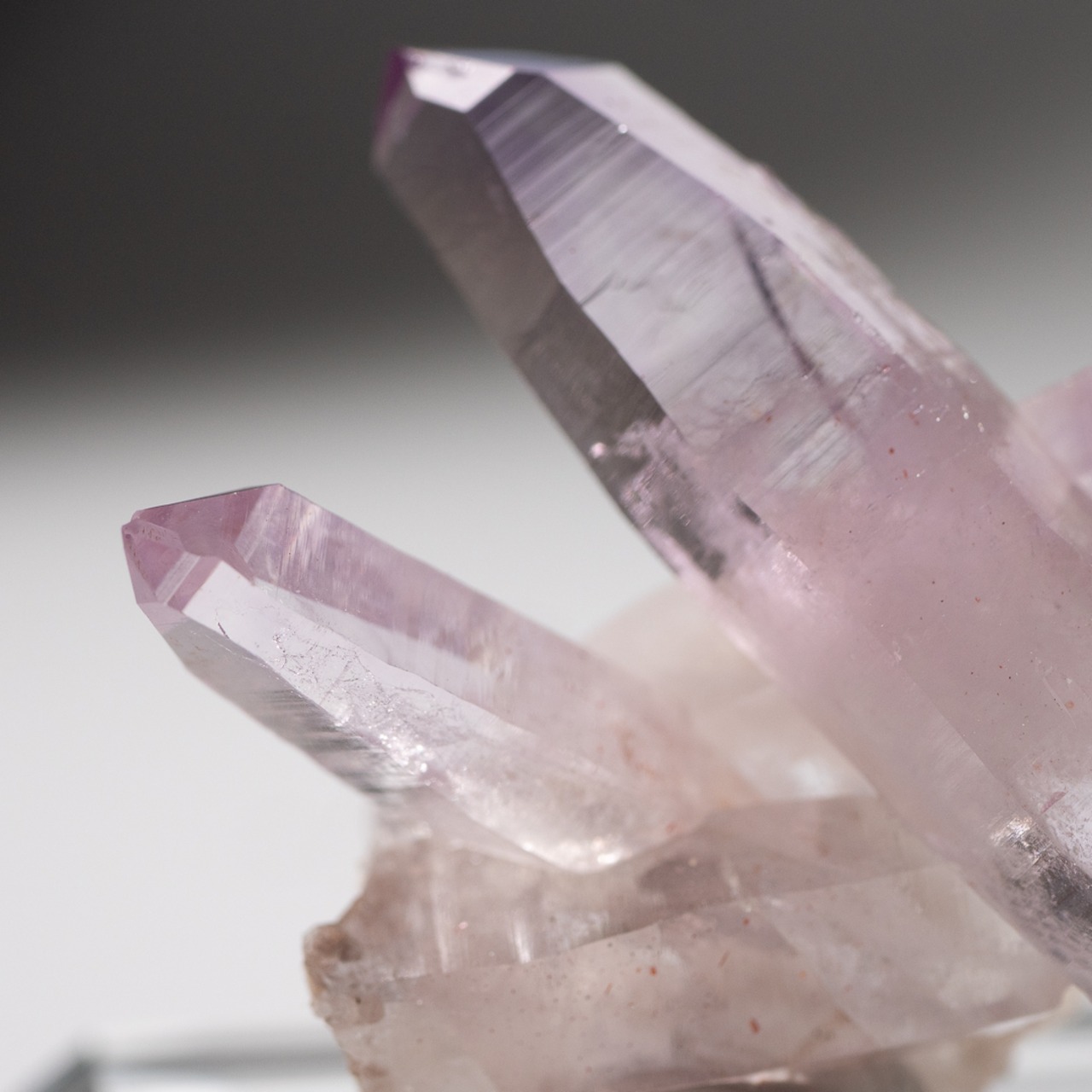 ベラクルス アメシスト アメジスト / 原石 標本