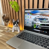 \ 公式ショップ限定価格❣️/ 準美品《2023年モデル》HP EliteBook 630 G10 フルHD 第13世代 SSD256GB 最新ノートパソコン 安心サポート＆3ヶ月保証付き