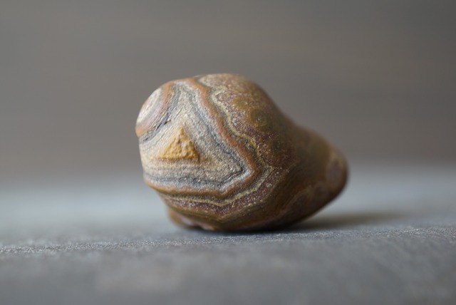 ゴビアゲート Gobi Agate 1315