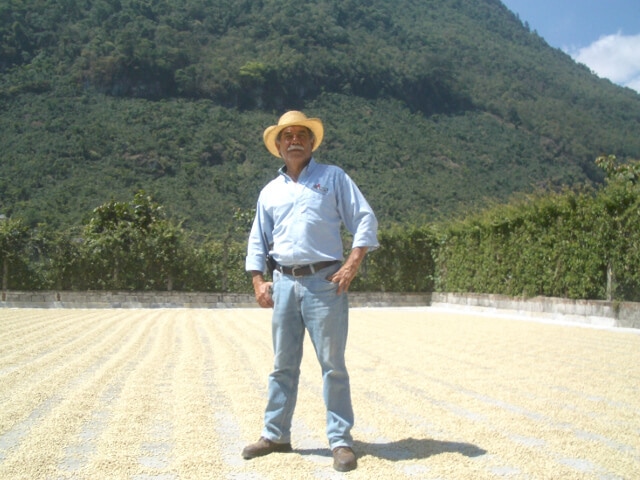 グアテマラ　エルインヘルト農園　ブルボン100%　　　200g