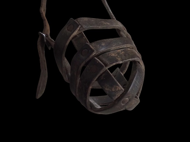 muselière pour chien