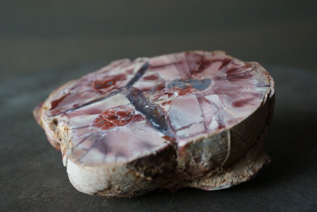 コールドマウンテン・サンダーエッグ Cold Mountain Thunderegg 1031