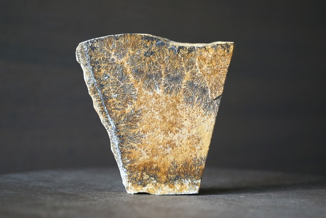 デンドライト 忍石 Dendritic limestone 1190