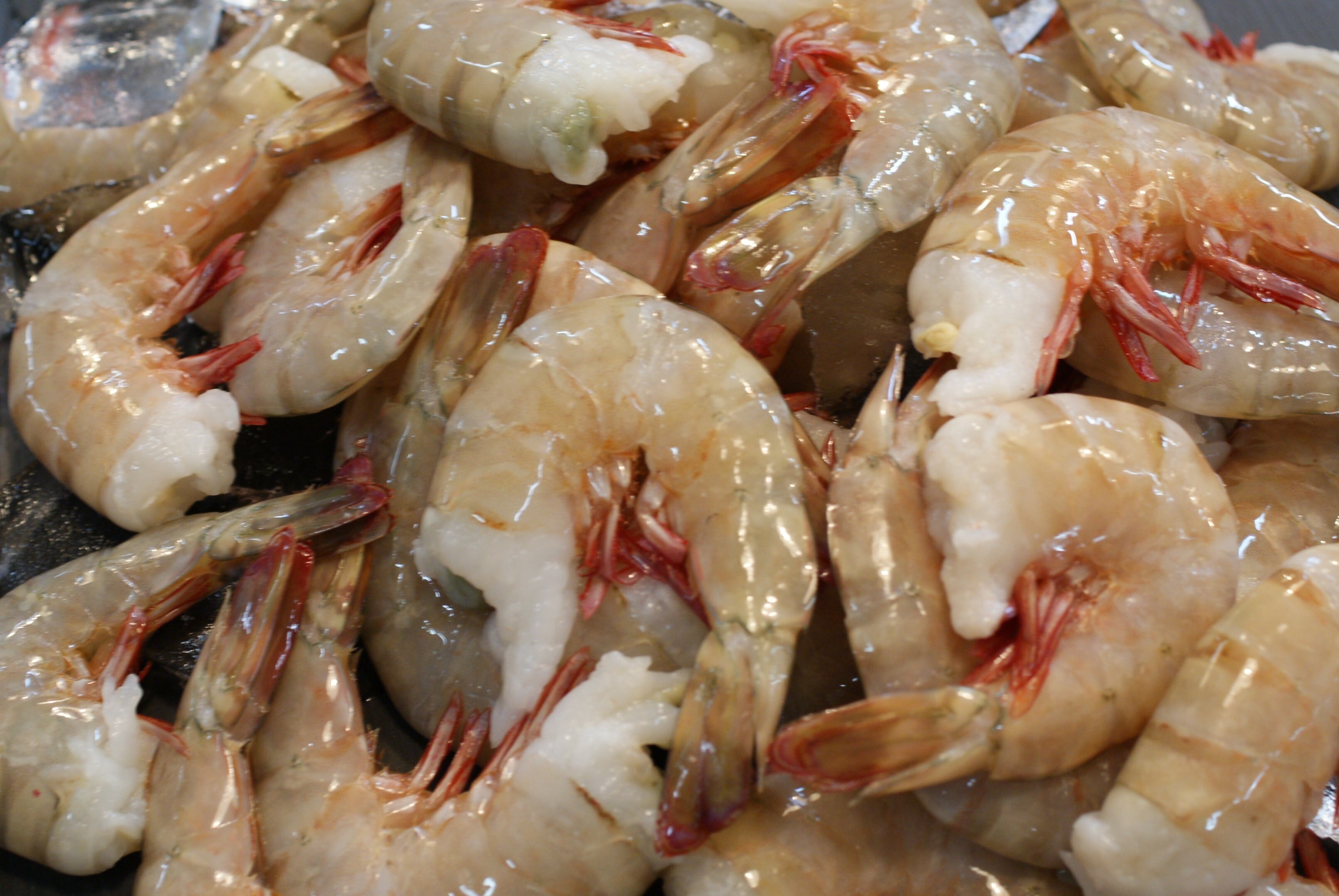 【えび】 楽天市場】【ふるさと納税】【発泡箱入り】漁船直送☆船内瞬間冷凍 が