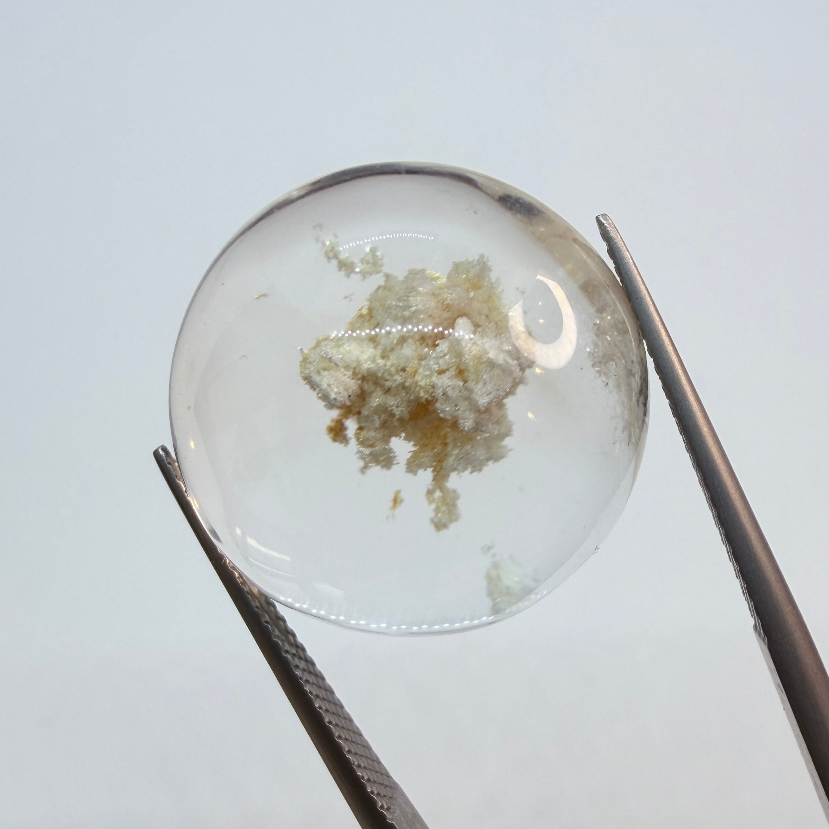 珊瑚礁を閉じ込めたようなホワイトガーデンクオーツ