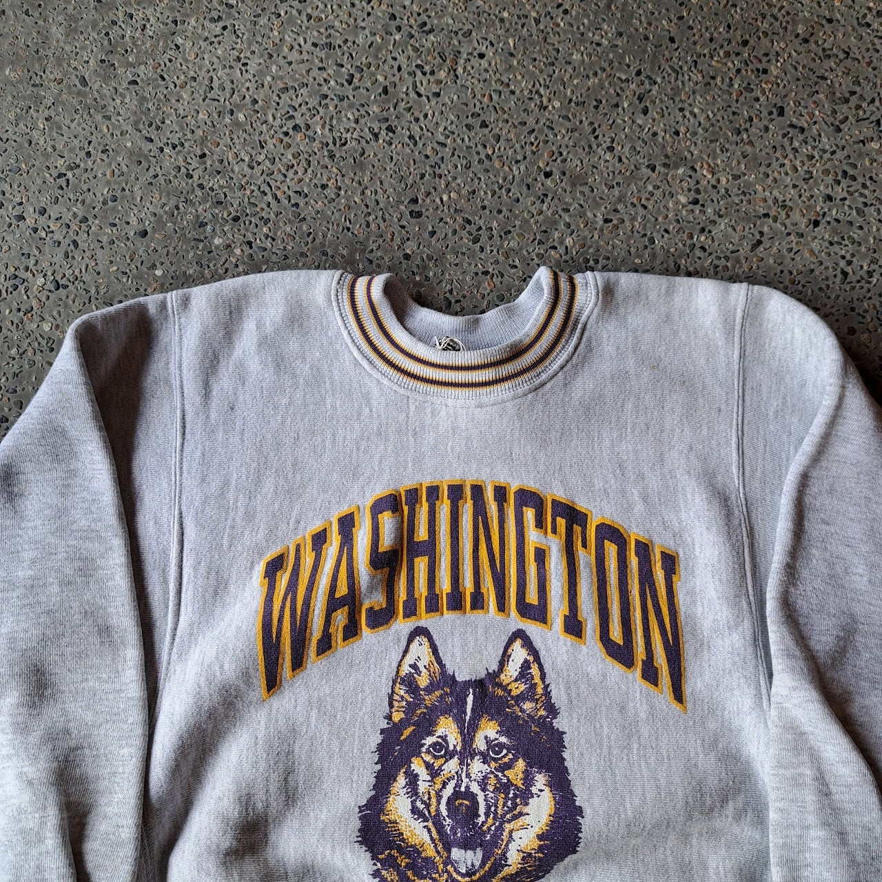 CHAMPION Washington Huskies スウェット リバースウィーブ WASHINGTON HUSKIES
