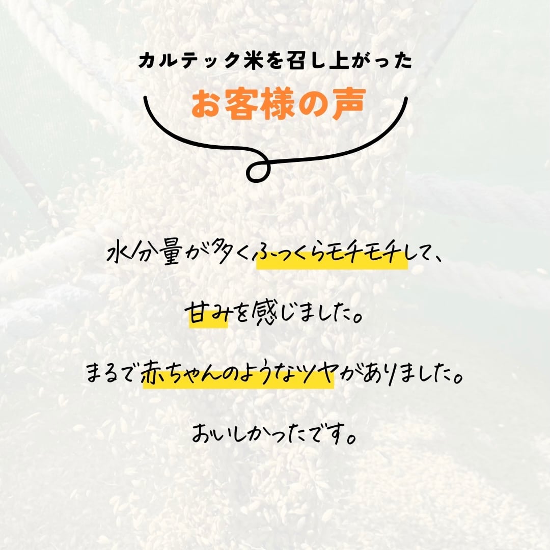 玄米]令和7年新米30kg カルテック米なつほのか玄米｜送料無料 | 農家