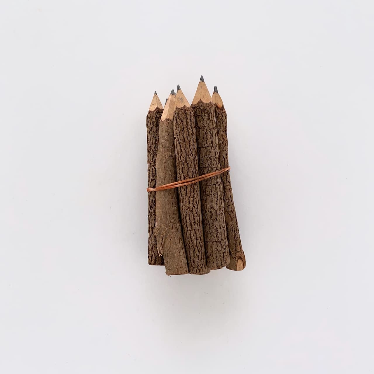 タイの鉛筆 木の枝 10本セット / Tree Branch Pencil 10 pcs | Sensitivity and Boldness