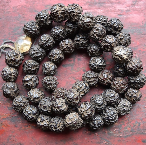 アンティーク・ルドラクシャ　金剛菩提樹の一連数珠