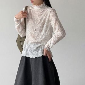 mock neck sheer top 14797