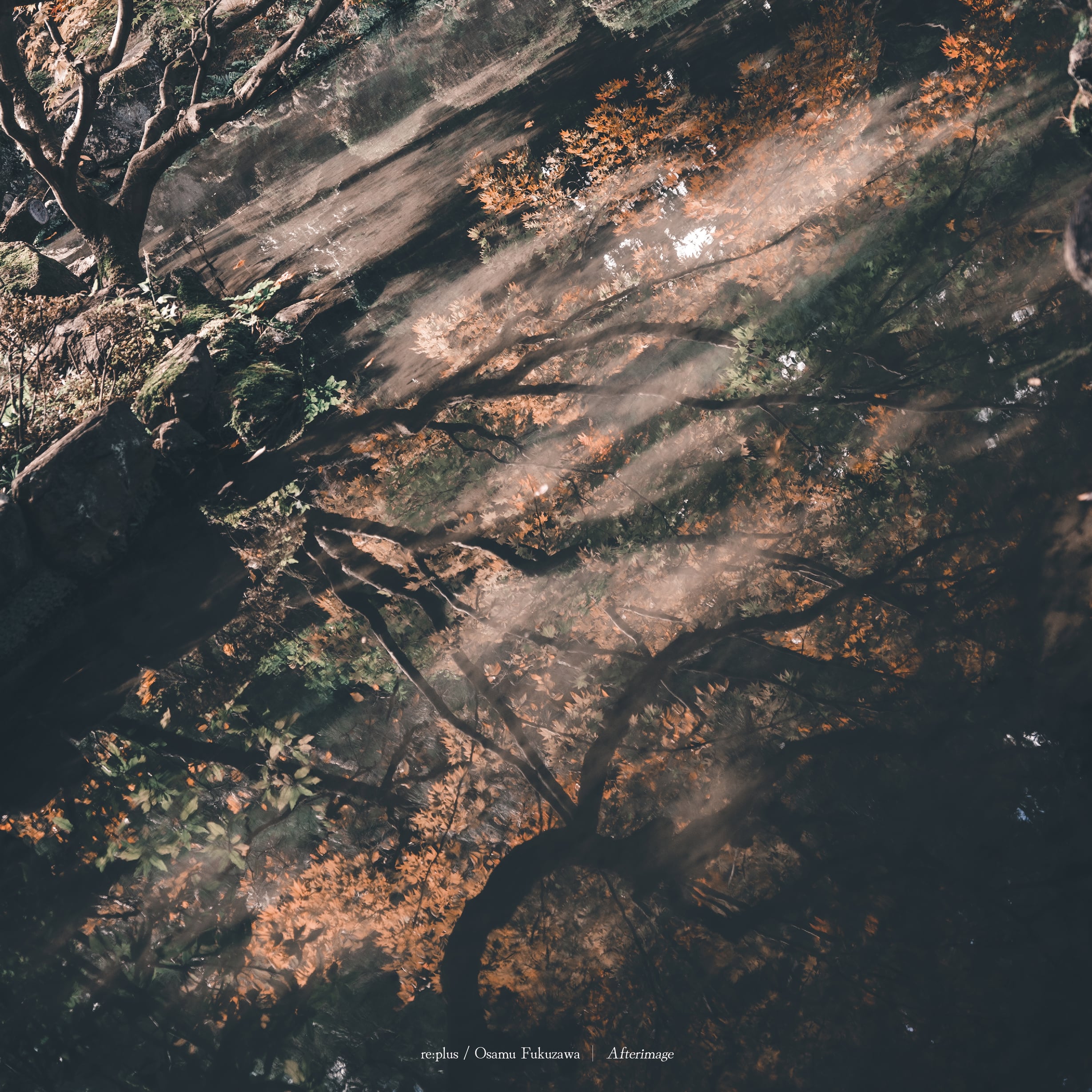 835c5cb209620b280c2c17dbdecf63