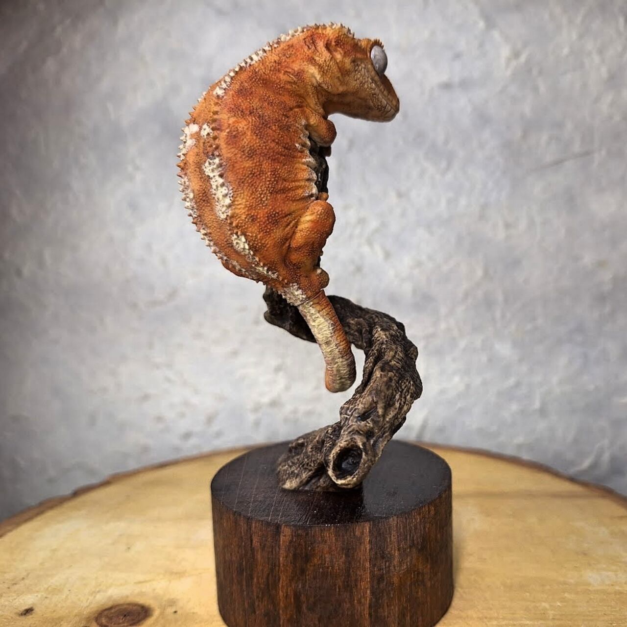 クレステッドゲッコー | 真工房 masakoubou