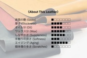 スマホと○○用サコッシュ