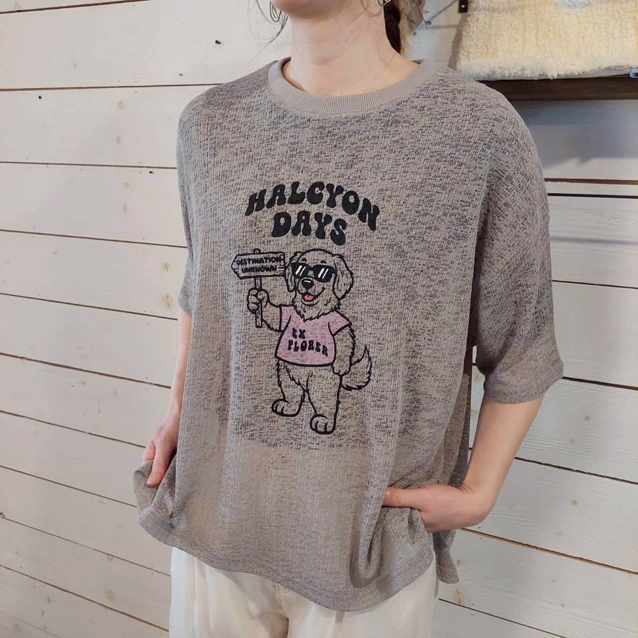『People's』2770  ラッセルメッシュ探偵家Tシャツ　半ラバープリント