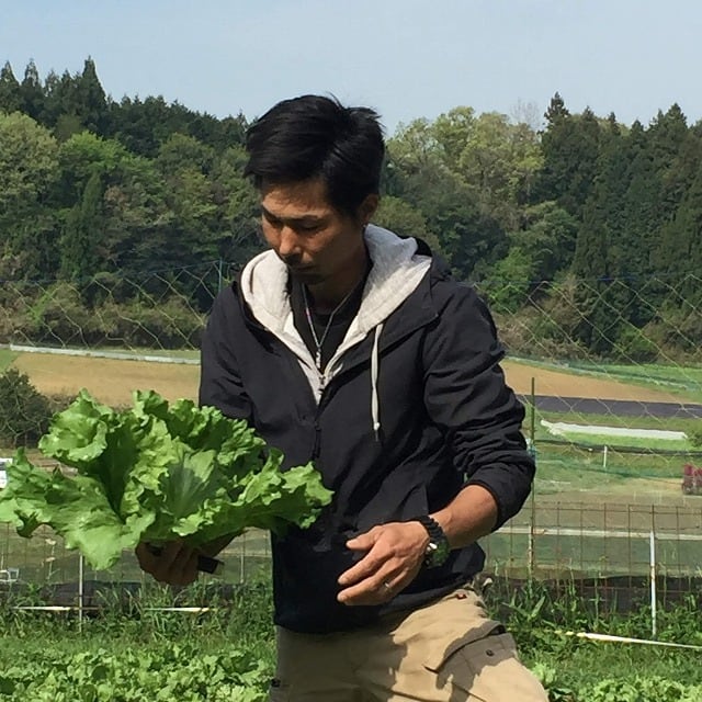 朝採れ→当日午後発送‼　旬の有機野菜セット～産地の農家直送～「Ｌサイズ」お野菜１２～１４種類　大和高原の恵み♪（有機野菜・農薬不使用・減農薬）　類農園～有機（オーガニック）野菜・お米・お茶【奈良・三重】