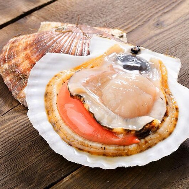 恋し浜ホタテ　１０枚