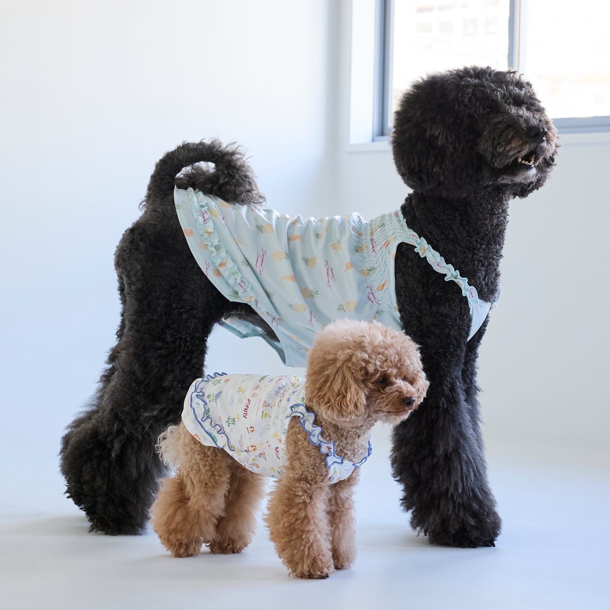 265502】冷感シャーリングワンピース | 犬服ブランド 2e deuxieme cale