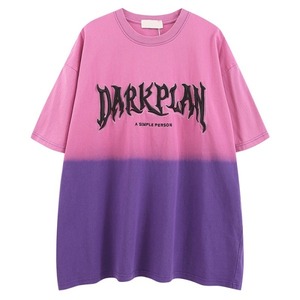 グラデーションカラーロゴTシャツ（lli_2891）