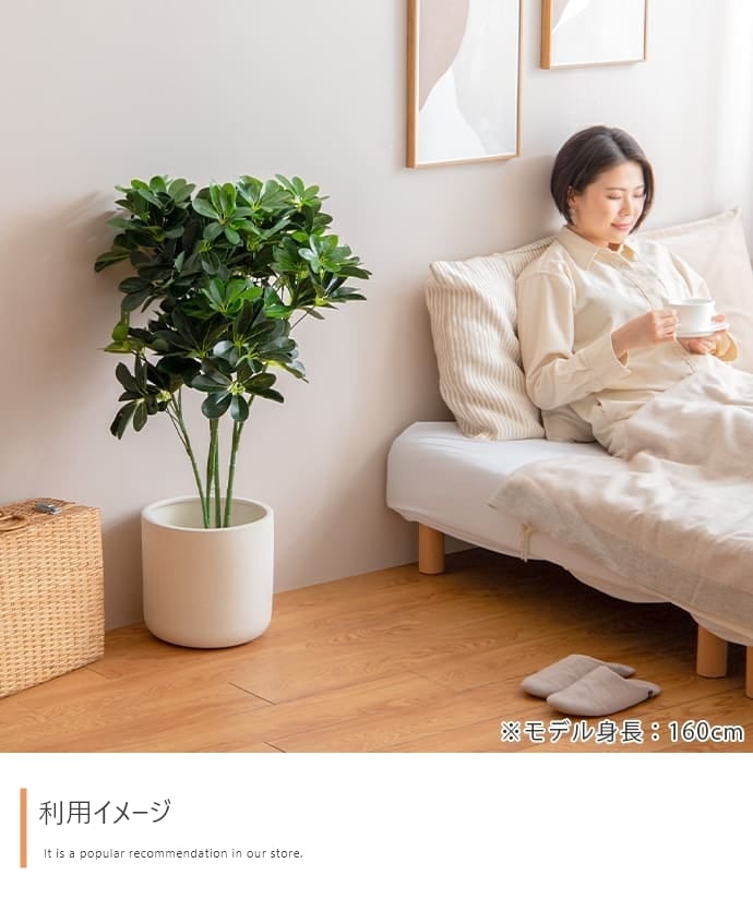 観葉植物 カポック フェイクグリーン 光触媒人工観葉植物 高さ90cm