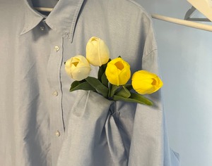 ぷっくりtulip(5set)