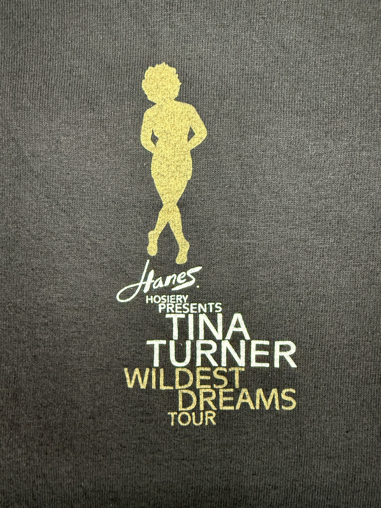 90s Tina Turner Wildest Dreams Tour / Hanes BEEFY-T fabric made in usa・画像3