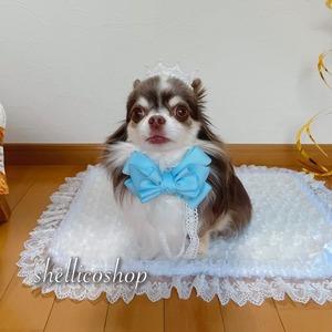 【blue topaz】ボリュームたっぷりリボンチョーカー