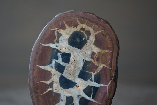 セプタリアン　Septarian　1122