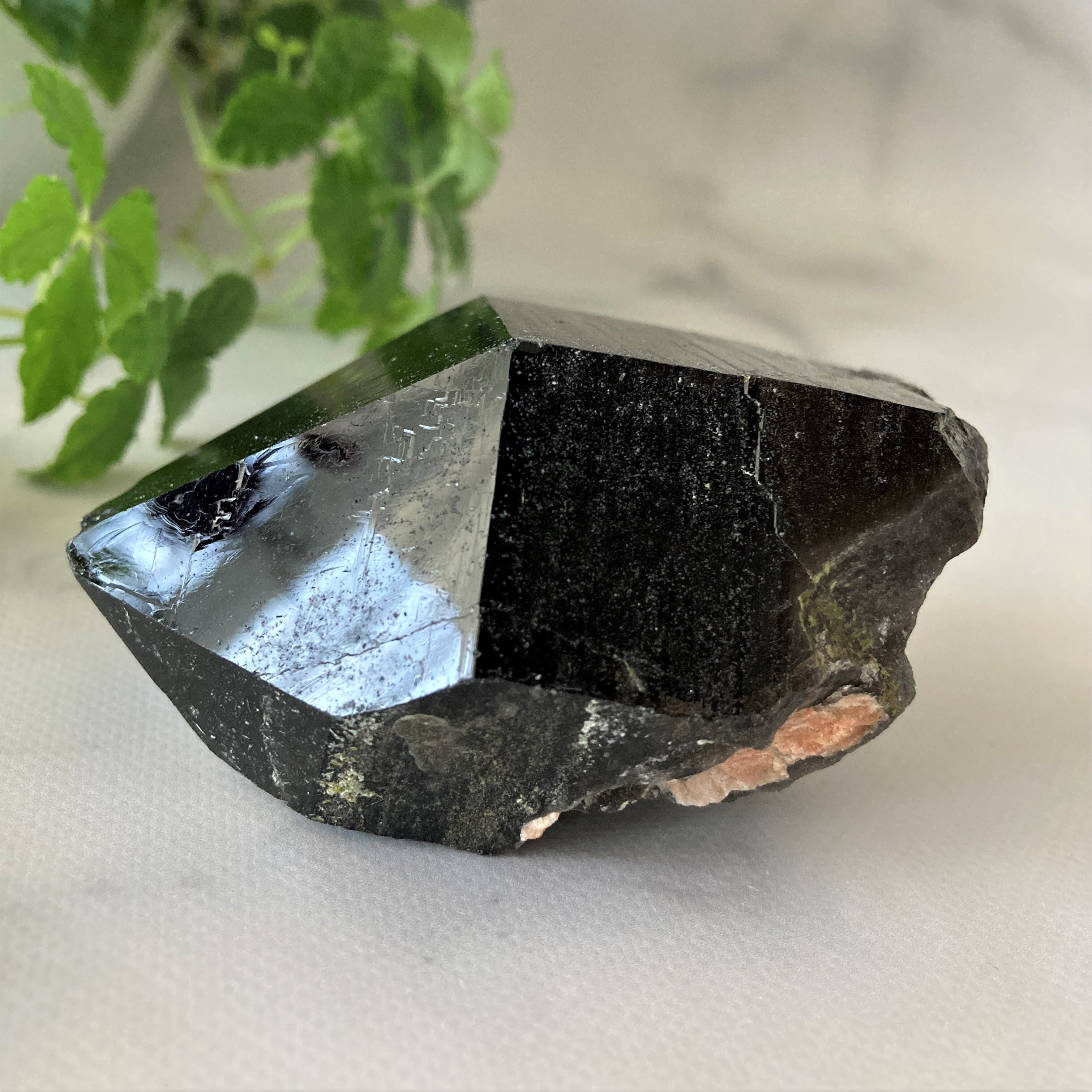 中国 山東省産・モリオン（黒水晶） | M Minerale モリオンクラスター黒水晶山東省産高品質浄化済